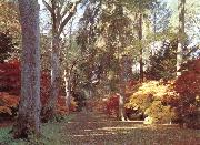 Westonbirt Arboretum